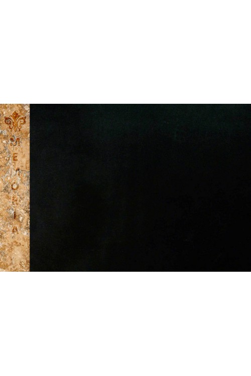 MEMO-460 ABSOLUTE BLACK natūralus granitas
